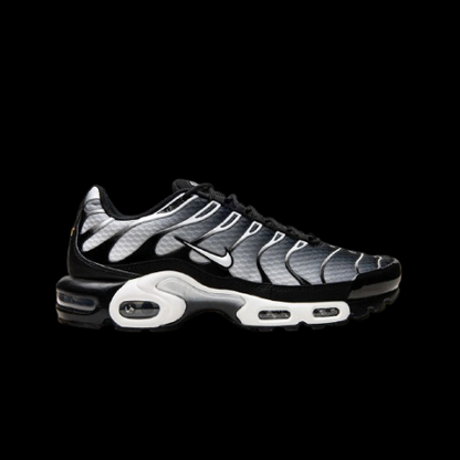 Nike TN Black/Silver