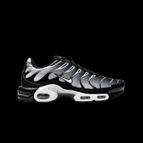 Nike TN Black/Silver