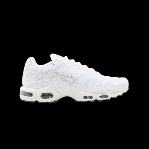 Nike TN Triple White